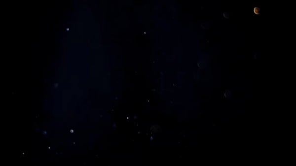 Essa MILF brasileira tem um rabão delicioso e adora sexo grupal